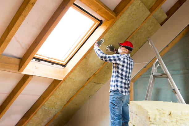 Best Eco-Friendly Insulation Solutions  in North Liberty, IA